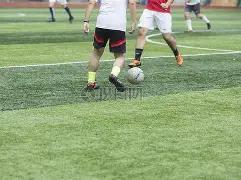 冬日狂欢,钜惠,索尼克赛车,世界杯下注,2026世界杯,下注技巧,赛事分析,赔率比较