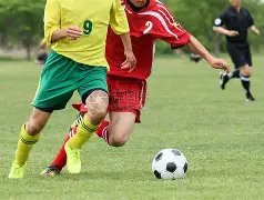 孙颖莎人气,飙升,女乒群英荟,世界杯下注,2026世界杯,下注技巧,赛事分析,赔率比较